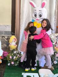 Gallery Pasqua 2026