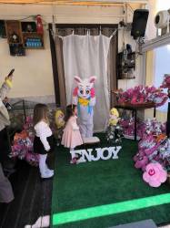 Gallery Pasqua 2026